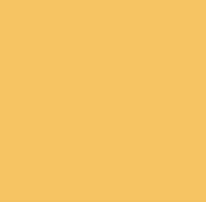 Sunflower Polyester Chair Sash rental New York, NY