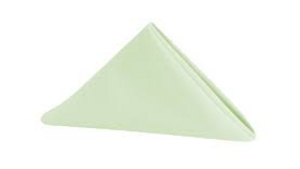 Polyester Napkin Green rental Miami-Ft. Lauderdale, FL