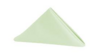 Polyester Napkin Green rental in Miami-Ft. Lauderdale, FL