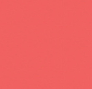 Watermelon Polyester 84" x 132" Rectangle rental New York, NY