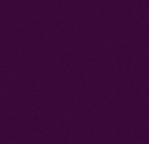 Plum Polyster 78" x 108" Rectangle rental New York, NY