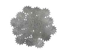Placemats - Gold and Silver rental Miami-Ft. Lauderdale, FL