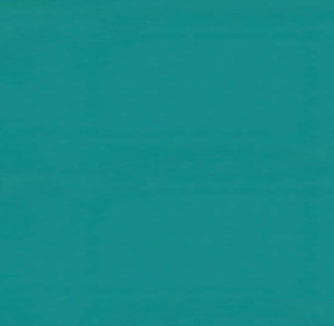 Jade Polyster Table Runner 12" x 108" rental New York, NY
