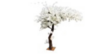 White Cherry Blossom 7ft Tree rental in Miami-Ft. Lauderdale, FL
