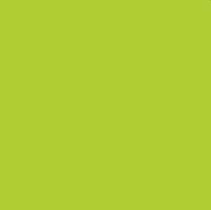 Lime Polyster Chair Sash rental New York, NY