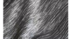 Fortuny Linen 132"- Silver rental in Miami-Ft. Lauderdale, FL