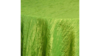Fortuny Linen 90x156"- Lime Green rental in Miami-Ft. Lauderdale, FL