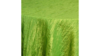 Fortuny Linen 132"- Lime Green rental in Miami-Ft. Lauderdale, FL