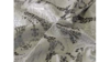 Mosaic Linen 132" - White and Silver rental in Miami-Ft. Lauderdale, FL
