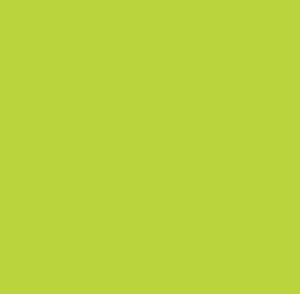 Neon Green Polyester Table Runner 12" x 108" rental New York, NY