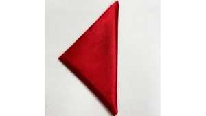 Capri Napkins - Red rental Miami-Ft. Lauderdale, FL
