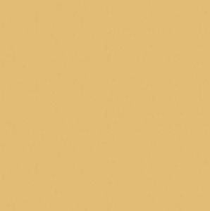 Camel Spun Polyester Chair Sash rental New York, NY