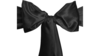 Sashes - Black rental in Miami-Ft. Lauderdale, FL