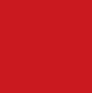 Red Spun Polyester Dinner Napkin rental New York, NY
