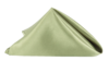 Satin Napkins - Avocado rental in Miami-Ft. Lauderdale, FL