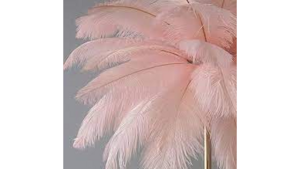 Pink Feather Decoration with Clear Base rental Miami-Ft. Lauderdale, FL