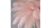 Pink Feather Decoration with Clear Base rental in Miami-Ft. Lauderdale, FL