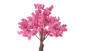 Pink Cherry Blossom Tree rental Miami-Ft. Lauderdale, FL