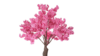 Pink Cherry Blossom Tree rental in Miami-Ft. Lauderdale, FL