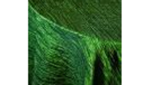 Fortuny Linen 120"- Grass Green rental Miami-Ft. Lauderdale, FL