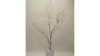 Decoration - Silver Tree rental in Miami-Ft. Lauderdale, FL