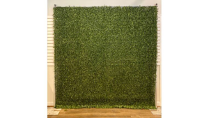 Boxwood Backdrop rental Columbus-Auburn, GA