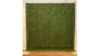 Boxwood Backdrop rental in Columbus-Auburn, GA