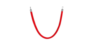 Red Rope For Chrome Stanchion rental Columbus-Auburn, GA