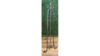 Portrait Easel rental in Columbus-Auburn, GA