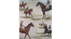 72X72 Race Horse Overlay rental in Columbus-Auburn, GA
