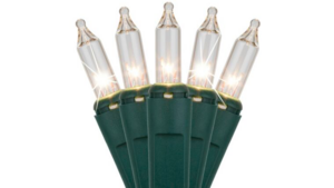 Twinkle Lights rental Columbus-Auburn, GA