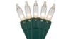 Twinkle Lights rental in Columbus-Auburn, GA