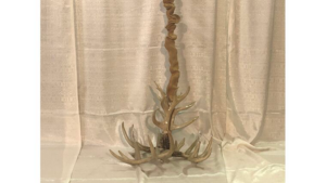 Antler Chandelier rental Columbus-Auburn, GA