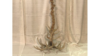 Antler Chandelier rental in Columbus-Auburn, GA