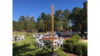 12' Light Canopy Pole W/ Base rental in Columbus-Auburn, GA