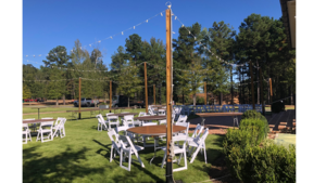 10' Light Canopy Pole W/ Base rental Columbus-Auburn, GA