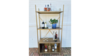 Gold Bar Shelf rental in Columbus-Auburn, GA