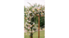 Chuppah Backdrop 4 Posts State Fabric Color rental in Southern Utah, UT
