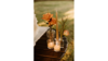 Assorted Votive Holder rental in Southern Utah, UT