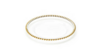 Charger Clear Gold Beaded rental in Southern Utah, UT