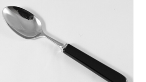 Serving Spoon Black Handle rental Southern Utah, UT