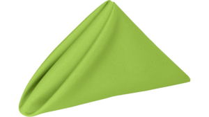 Napkin Napkin Cotton Poly Lime rental Southern Utah, UT
