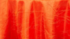 Napkin Irides Crush Sunset Orange rental in Southern Utah, UT