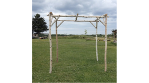 Birch Chuppah Backdrop rental Southern Utah, UT