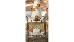 Rose Gold Bar Cart rental Southern Utah, UT