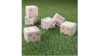 Giant Dice Lawn Game rental in Southern Utah, UT