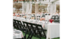 Garden Black Chair rental in Palm Beaches-Treasure Coast, FL
