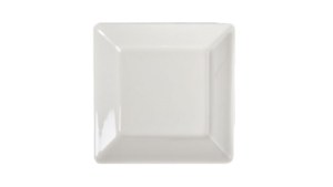 China Square Salad 7" rental Palm Beaches-Treasure Coast, FL