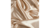 120"Rd Champagne - Satin rental in Palm Beaches-Treasure Coast, FL