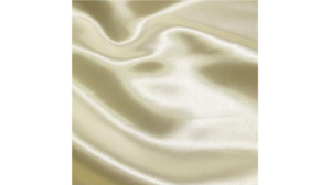 120"Rd Ivory - * Satin rental Palm Beaches-Treasure Coast, FL